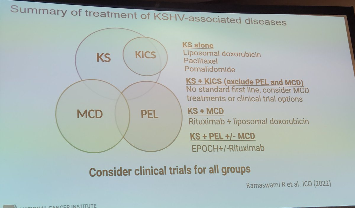 Joe Rocco tweet media