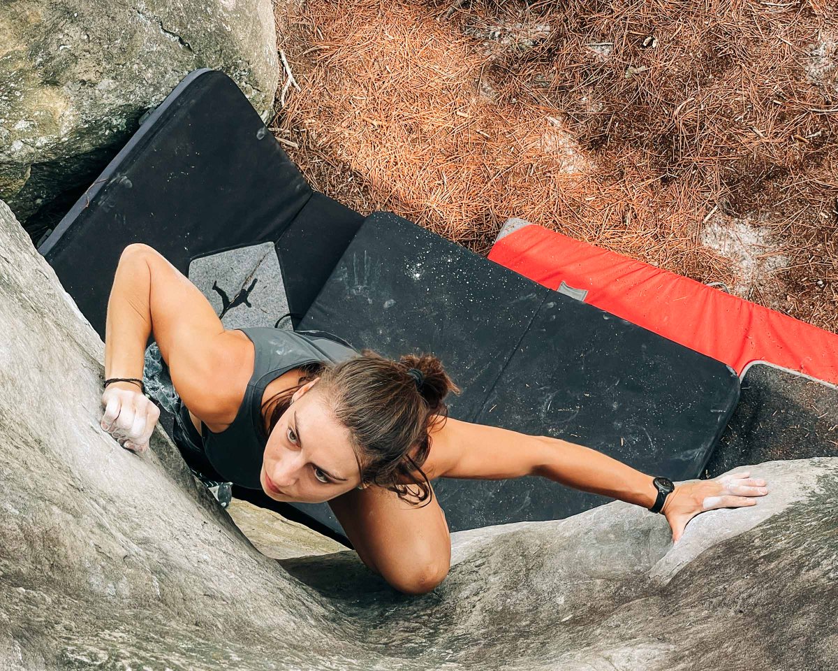quis's tweet photo. Final set of photos from my trip to France in the summer: a week of bouldering in Fontainebleau

https://t.co/F8hUiZw5hF https://t.co/zYfdPrrnxe