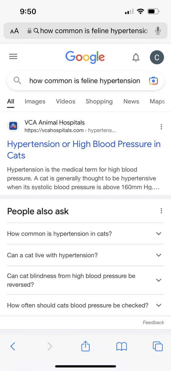 currrrra's tweet photo. had a dream my cat got admitted to my unit bc his bp was high and now I’m spiraling https://t.co/jAaslurWDS