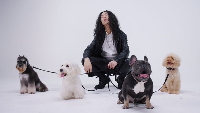 Ffrb6gCUoAY0-CL?format=jpg&name=small