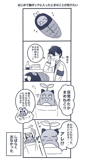 まめねこ まとめ 感想や評判などを1時間ごとに紹介 ついラン