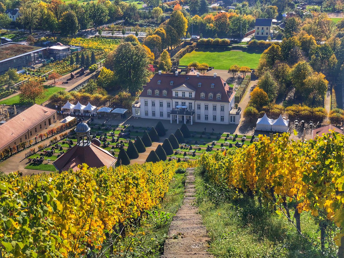 Hochtouren's tweet photo. Hurra, die Sonne ist da! Weingut Schloß Wackerbarth #Radebeul #Sachsen #Herbst https://t.co/Hu9guj9xhb