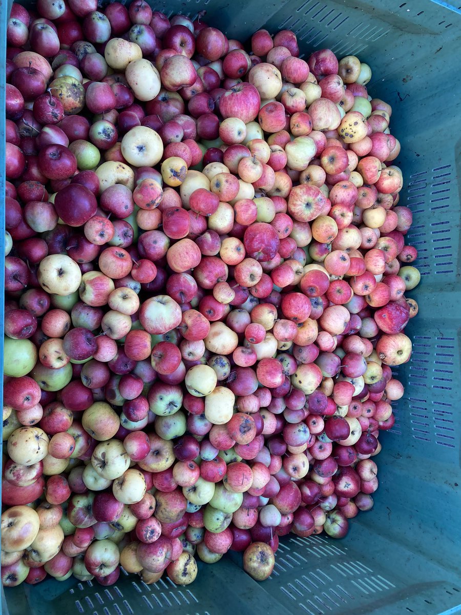 Helker lab tweet media