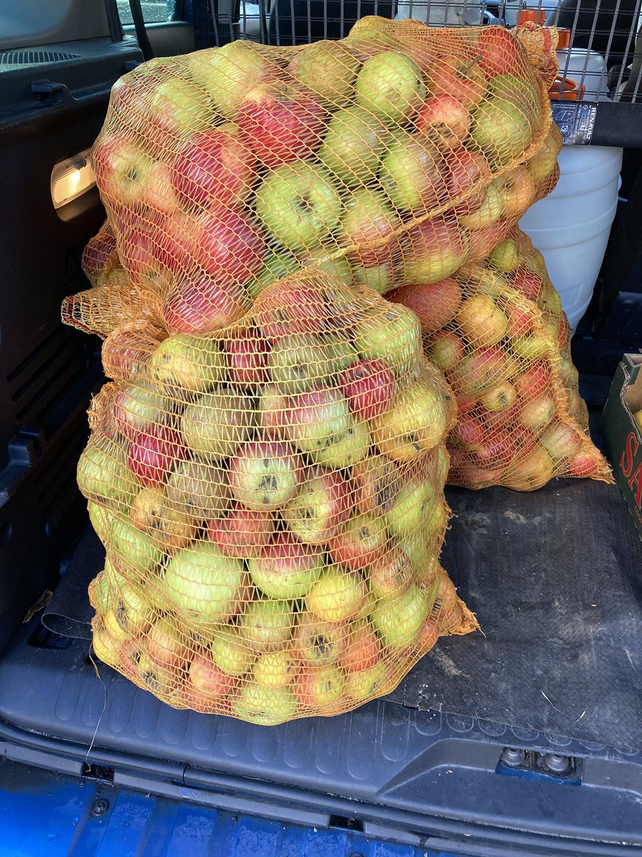 Helker lab tweet media