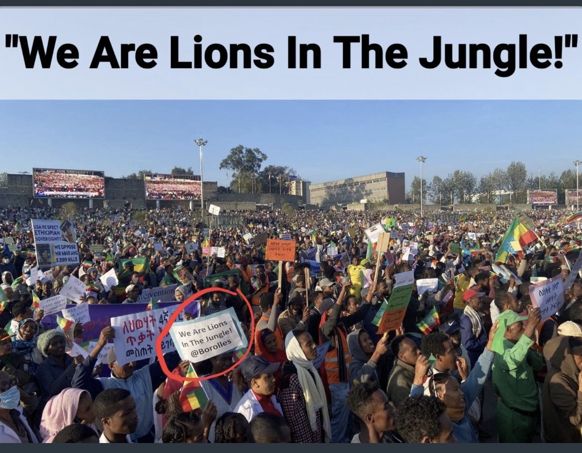 የኛ ሰው አይንከስህ We are the Lions in the Jungle ብለው ፅፈዉለት ወጡ .. አይዞሽ ገለቴ
