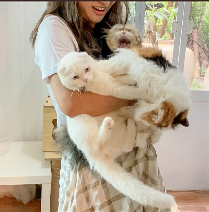 Rung53816449's tweet photo. @awwwfluffy รวมกังเยาอยู่ ฟาดมาก็ฟาดกลับเอาดิ https://t.co/1ZuvwllSV9