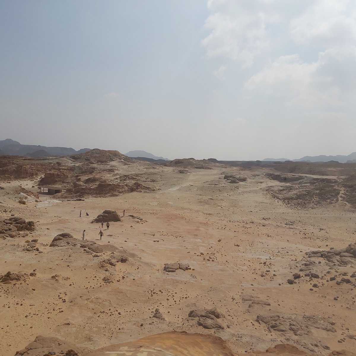 BregtKippers's tweet photo. #Timna in the #Negev
Another kind of autumn https://t.co/zTQniHhXNW