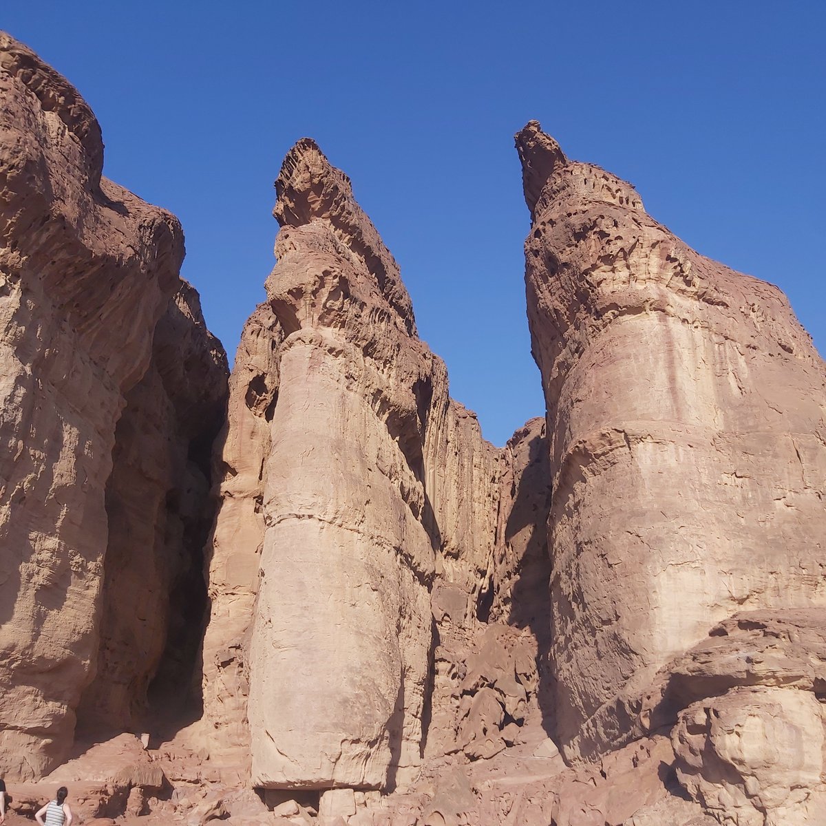 BregtKippers's tweet photo. #Timna in the #Negev
Another kind of autumn https://t.co/zTQniHhXNW
