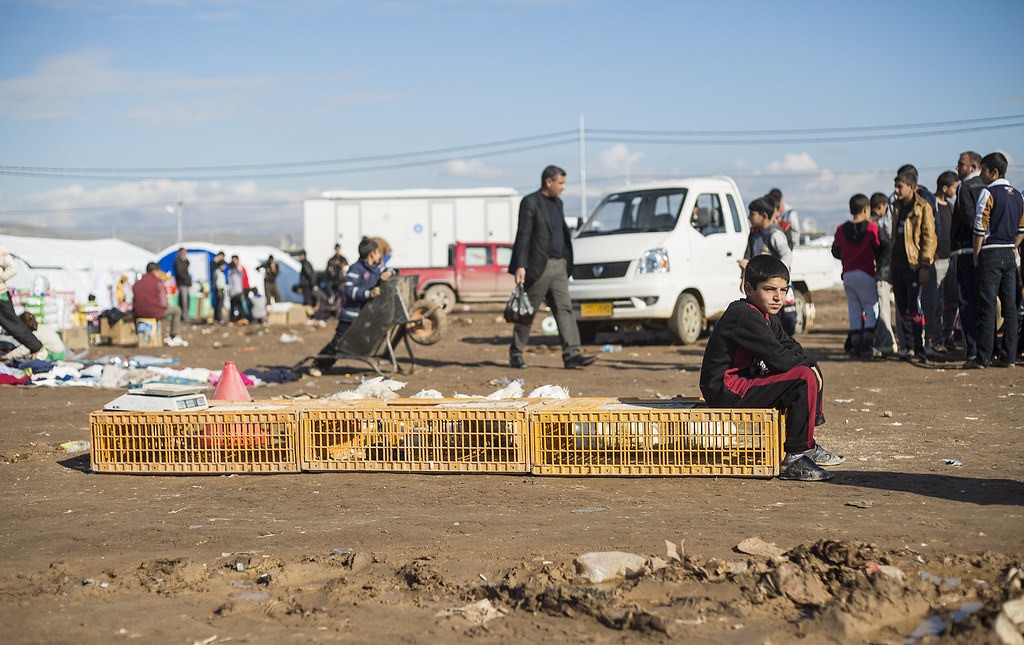 TheYezidi's tweet photo. https://t.co/Swk5hEwUBV