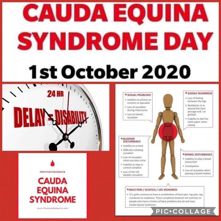 lyn mowle ( just a mum trying to help her son ) (@lmowle) on Twitter photo 