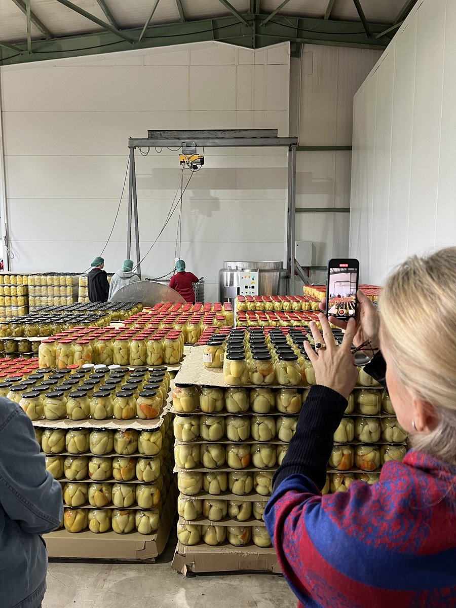 ViolavonCramon's tweet image. The extraordinary story &amp;amp; work of Agri-cooperative #Krusha tell the story of #femaleleadership, vision and peace-building in 🇽🇰.

Fahrije Hoti’s story is the one of transformational power of timely support to #women’s entrepreneurship. 

Wish them lots of successes in the future!