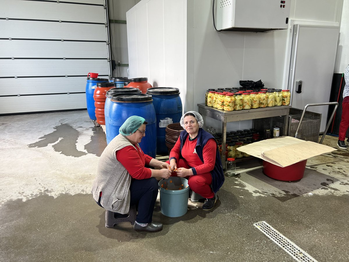 ViolavonCramon's tweet image. The extraordinary story &amp;amp; work of Agri-cooperative #Krusha tell the story of #femaleleadership, vision and peace-building in 🇽🇰.

Fahrije Hoti’s story is the one of transformational power of timely support to #women’s entrepreneurship. 

Wish them lots of successes in the future!