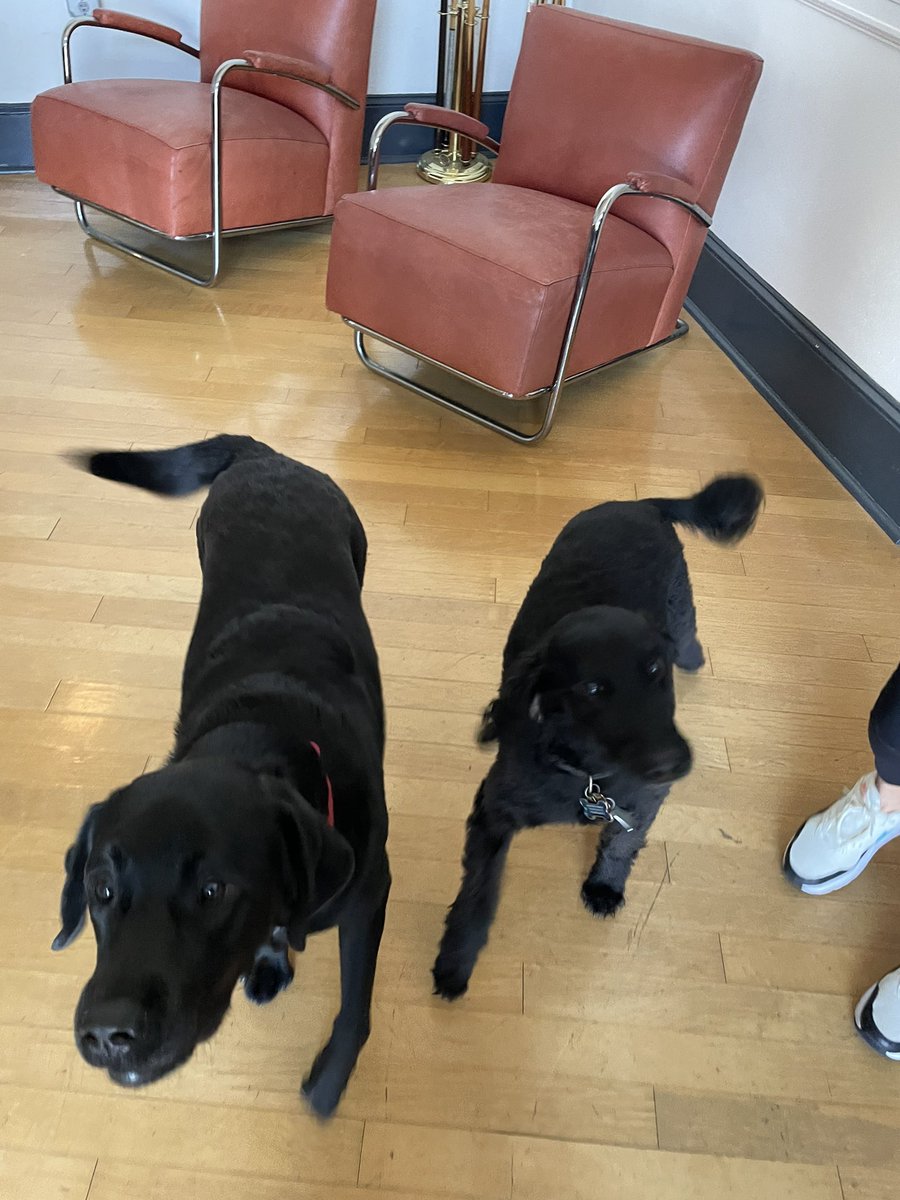 The #creative urge to drop everything we’re doing to work at <a href="/booneoakley/">BooneOakley</a> in #CharlotteNC 👑🏙😍 Thanks for the agency tour <a href="/maryfgross/">mary gross</a>! #copywriting #artdirection #portfolioschool #book180