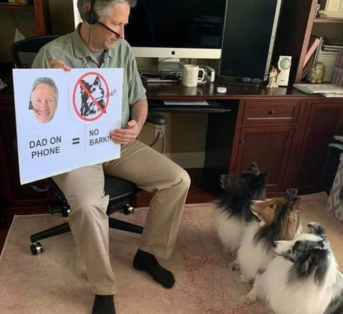 RespectfulMemes's tweet image. 