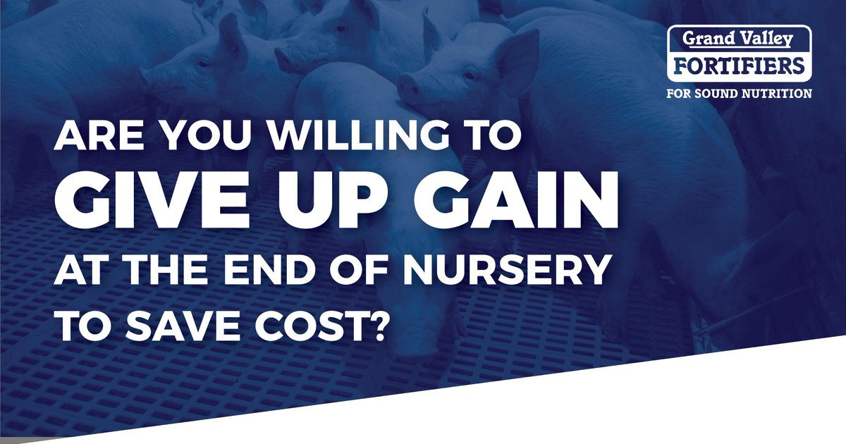 Victoria Seip, Grand Valley Fortifiers, explores performance over cost. See how feed $/pig, and cost per kg gain compared using different feeding strategies on pages 1 &amp; 2: bit.ly/SwineGrist-Spr…

#SwineSaturday #FarmingFortified #SwineNutrition #OntarioPork #CdnAg #OntAg