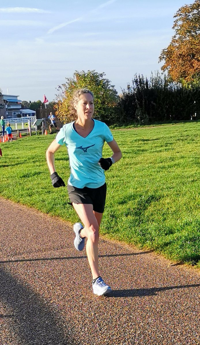 Sue Harrison tweet media