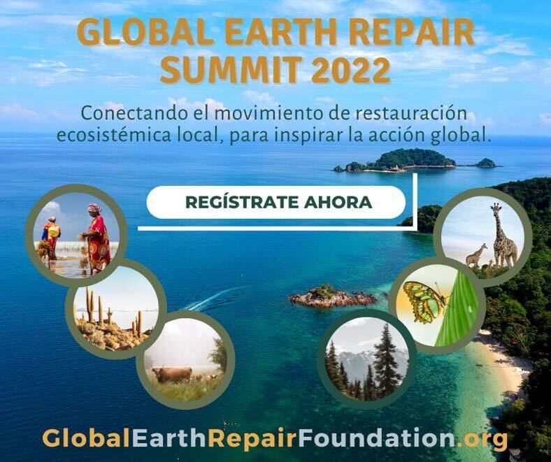 Estamos a punto de comenzar con Cuerpos sanos y ecosistemas enfermos, Argentina. Monsanto papers. 
De 9:10 a 9:40 am

Meeting ID:
92670354645

Join URL:
zoom.us/j/92670354645...

Meeting Password:
wDGh*P5Gpr