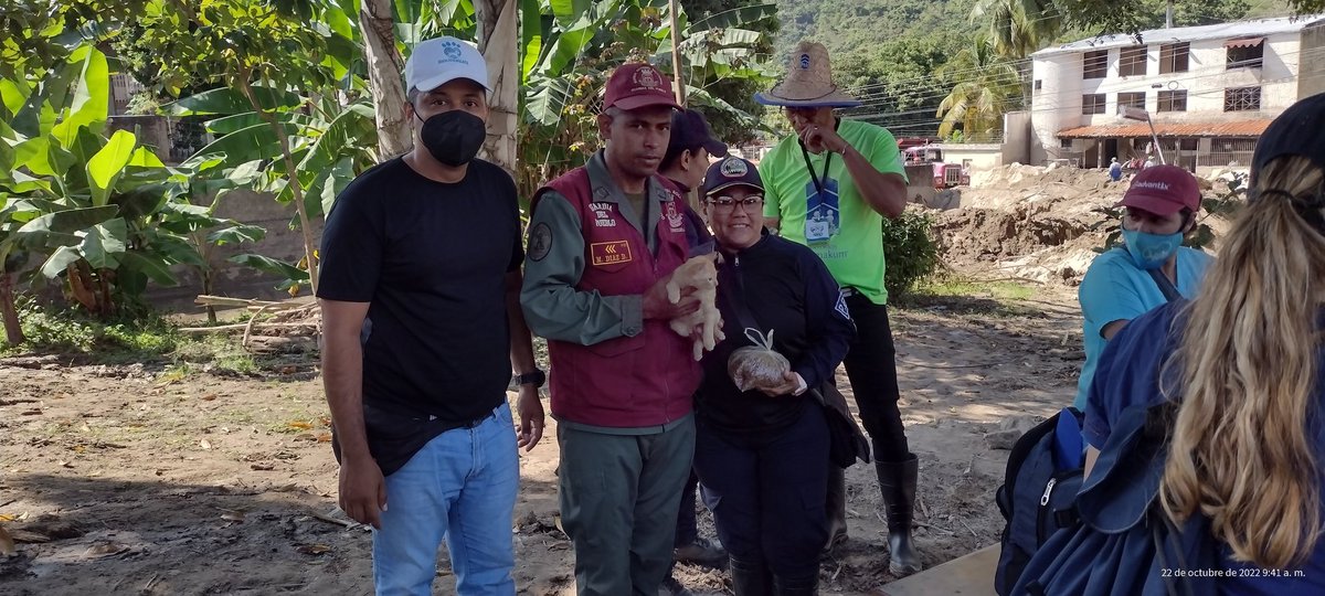 manuelsojo's tweet image. #22Oct | Seguimos brindando atención médico veterinaria. Al lado de la estación policial El Castaño.

@fundaabad
@zoolidarizate
#ElCastaño
#Palmarito