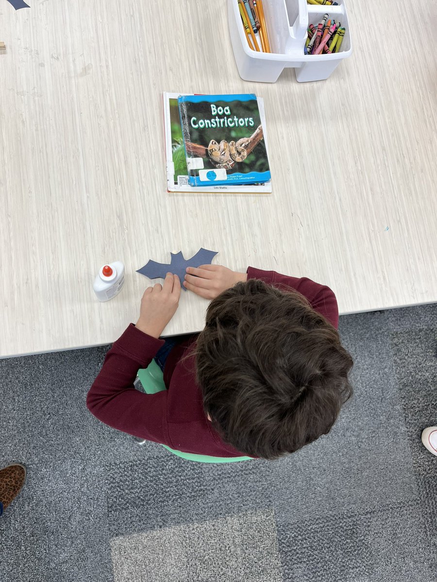 library_OESSCC's tweet photo. 🦇OES Students have been researching bats in the library.  After completing research, students created a bat that appears to fly! It’s great to be a Saint! 🦇 #greatdayinscc @sccboe #everystudentprepared https://t.co/2JEutPrOQJ