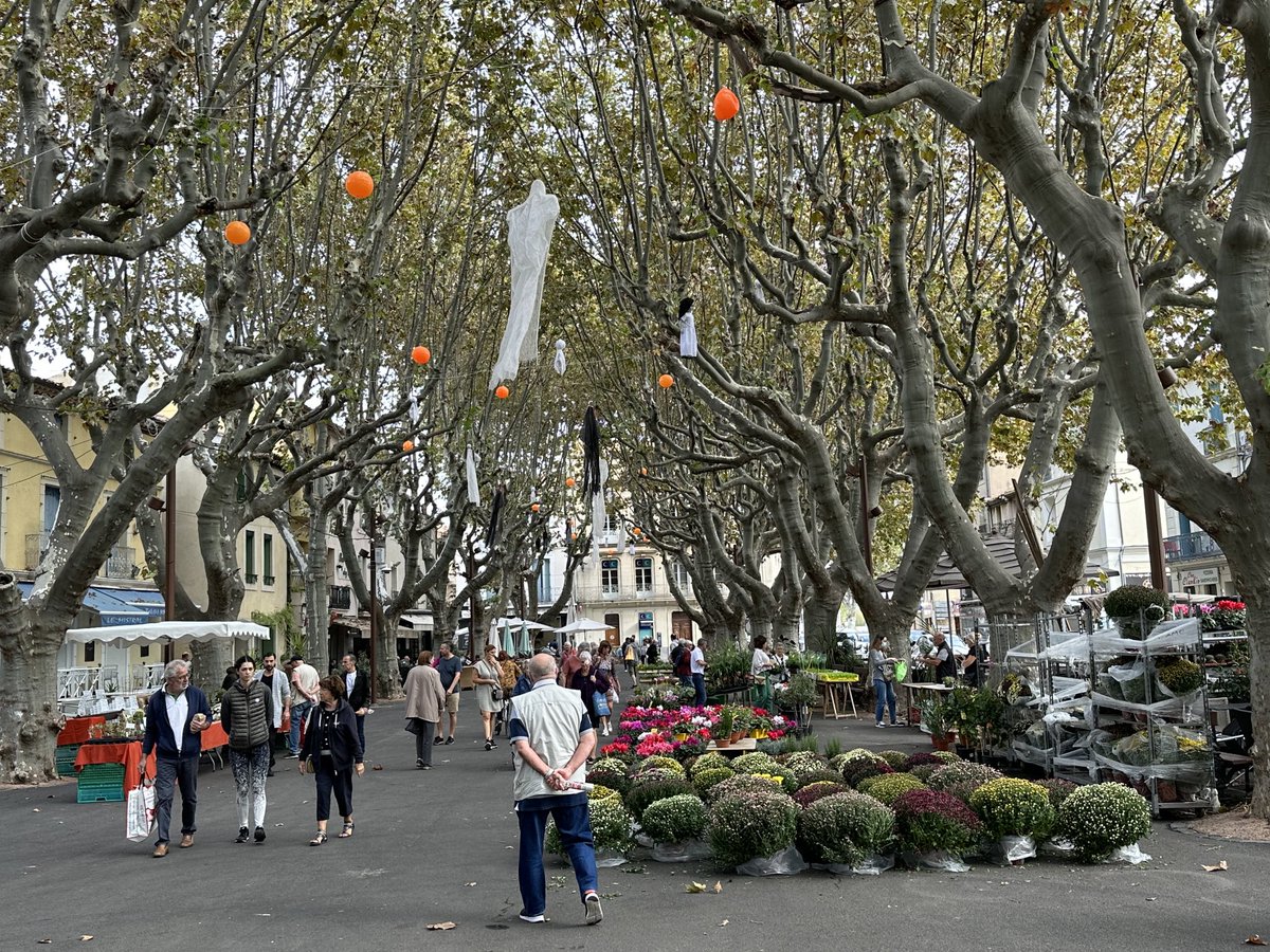 Frédéric Lacas tweet media