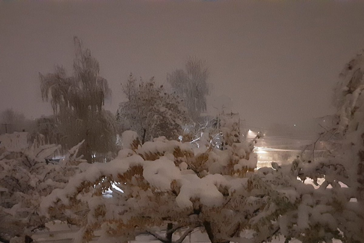 Barb in Alberta☕🍁🇺🇦Resist Spread truth Rest up tweet media