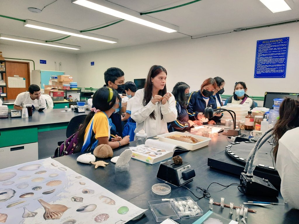 yolimarbiomoll's tweet photo. Jornada puertas abiertas 🤗
Compartiendo el conocimiento y mostrando el material de las colecciones científicas #phdadventures #cienciaparatodos @facciencias @CampusUNAMYuc https://t.co/8LPwEjSpsn