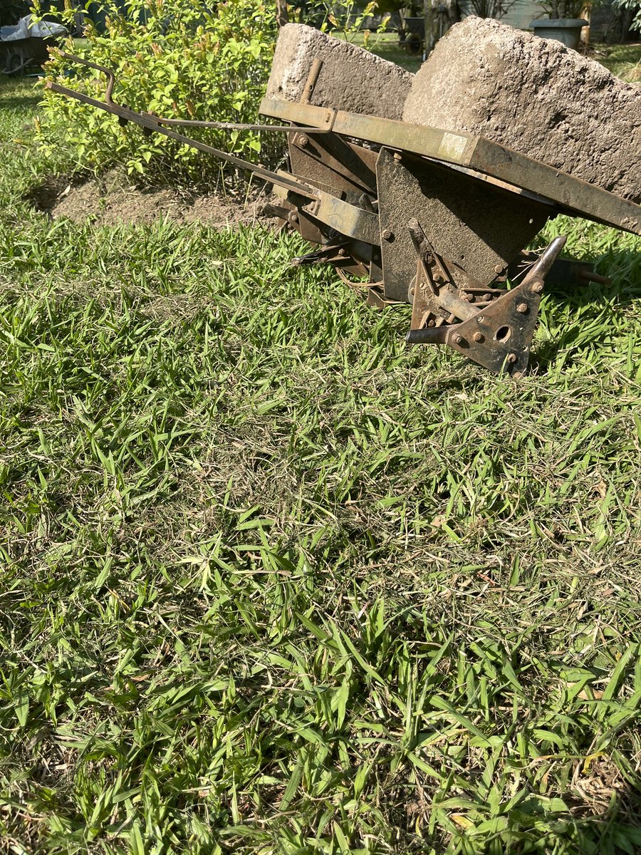 JeanBamanisa's tweet photo. La saison sèche a été rude #Kinshasa.
Donnez de la jouvence à vos sols &amp; pelouse, scarifiez &amp; amendez avec 1 mélange de sciures bois, poudre de Roche, guano, fiente, compost ..
Un sol neuf qui permettra en 1 pluie d’avoir un tapis vert et naturel;

La Jardinerie  

@BamsClean https://t.co/JVltH6ZOIt