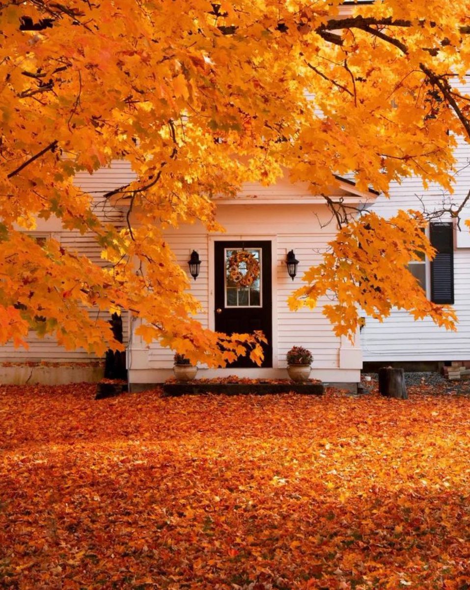 Fall time…🍁🍂🍁 Peacham, Vermont ©️pine.and.proper.