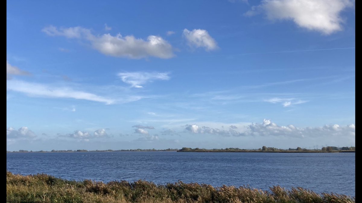 Joshuijzer's tweet photo. Eventjes een frisse neus halen bij het #Zwartemeer Veel Ganzen en de Zeearend gezien. #blijhoofd https://t.co/LoMdn04uWO