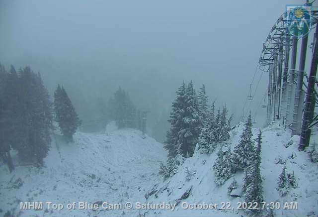 Lovely! ❤️ ❤️