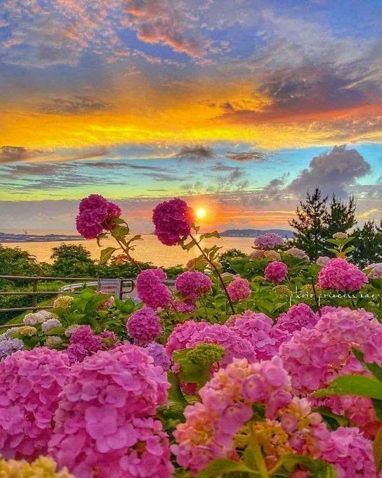 DisenoWebPlus's tweet image. Hoy es un buen día para la inspiración. Cómo puedo encontrar a esos clientes. Cómo me posesionó en el mercado. En Diseño Web Plus, te apoyamos. Contáctanos. disenowebplus.com 🌞🌻 #disenowebplus #web #diseño  #marketing #SiguemeYTeSigoCumplo #SiguemeYTeSigoVOX #SigueLaW