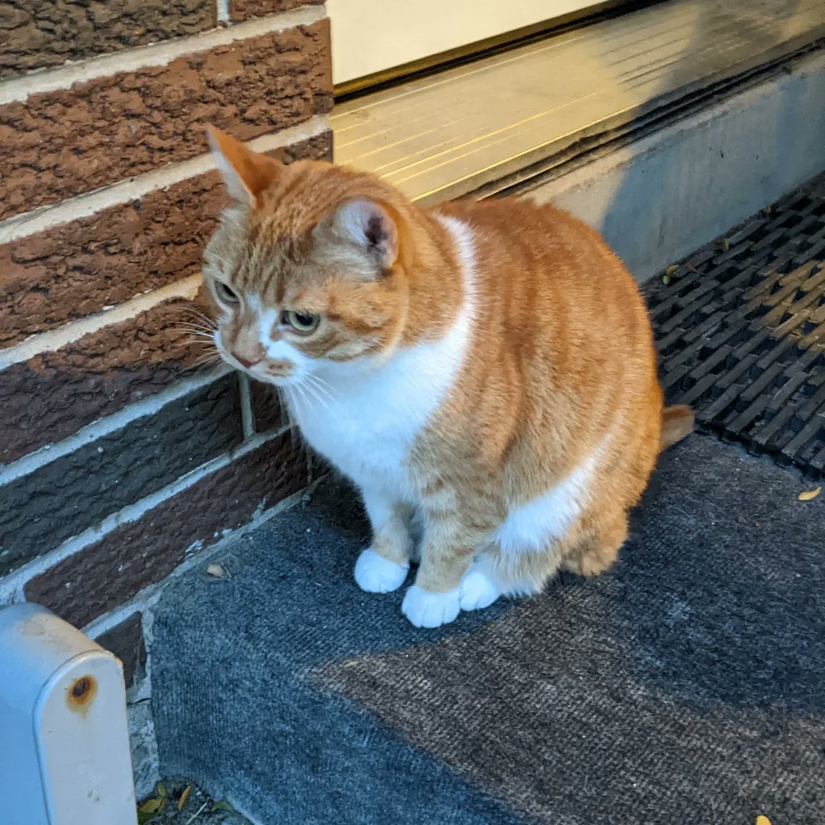 Jonathan Belgrave, Port Dalhousie Resident tweet media