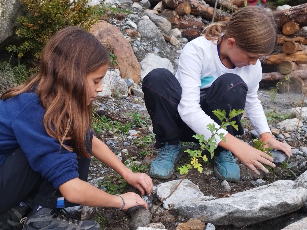 AjValldeBoi's tweet photo. Jornada familiar de plantació d'#esqueixos a l'esvomegada d'#ErilllaVall 🌱🌿
Una acció d'estabilització i renaturalització de barrancs en el marc del projecte europeu @phusicos 🇪🇺
L'acció ha finalitzat amb un dinar popular pels participants 🍲 https://t.co/v91JsWgXWo