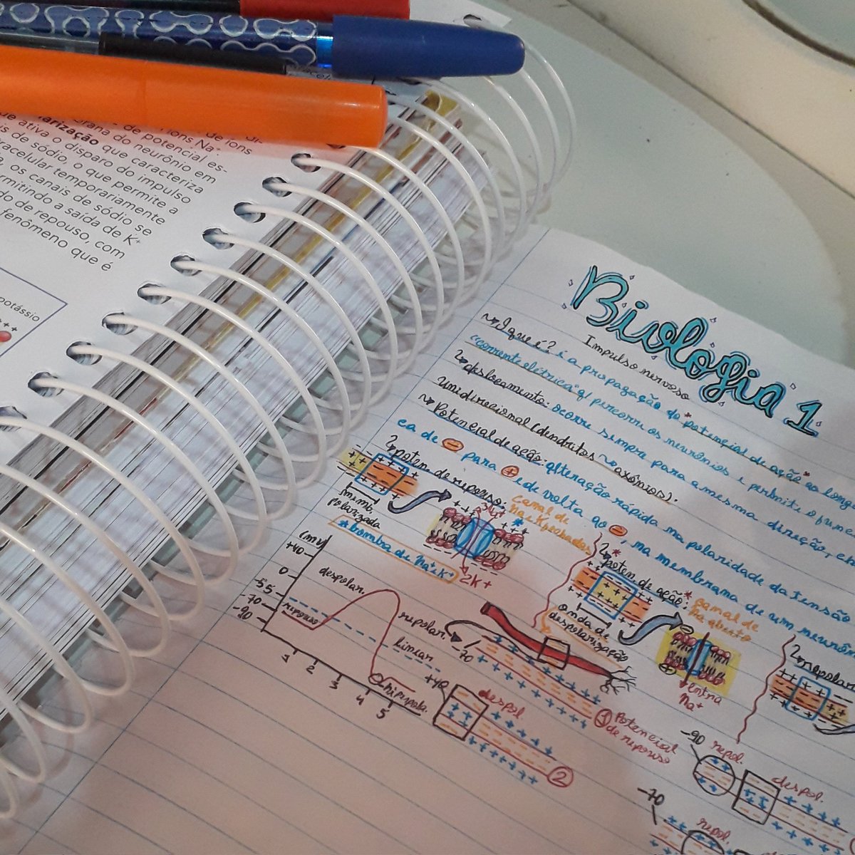 studyphot's tweet image. ⸺ como que pode uma estudante amar estudar biologia mas odeia fazer prova da matéria?