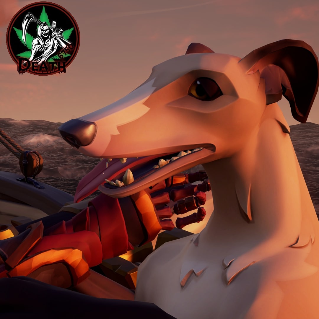 ⚠️🚨⚠️🚨⚠️🚨⚠️🚨⚠️🚨⚠️

Going LIVE! On my Twitch channel! Sailing and plundering ! Playing some Sea Of Thieves! 🏴‍☠️🏴‍☠️🏴‍☠️🏴‍☠️🏴‍☠️

twitch.tv/Death6750

#twitch #stream  #seaofthieves #xboxone #WOLVfam #wolvfam #juggalostreamingnetwork #twitchjuggalos #juggalostreamer #juggalostreams