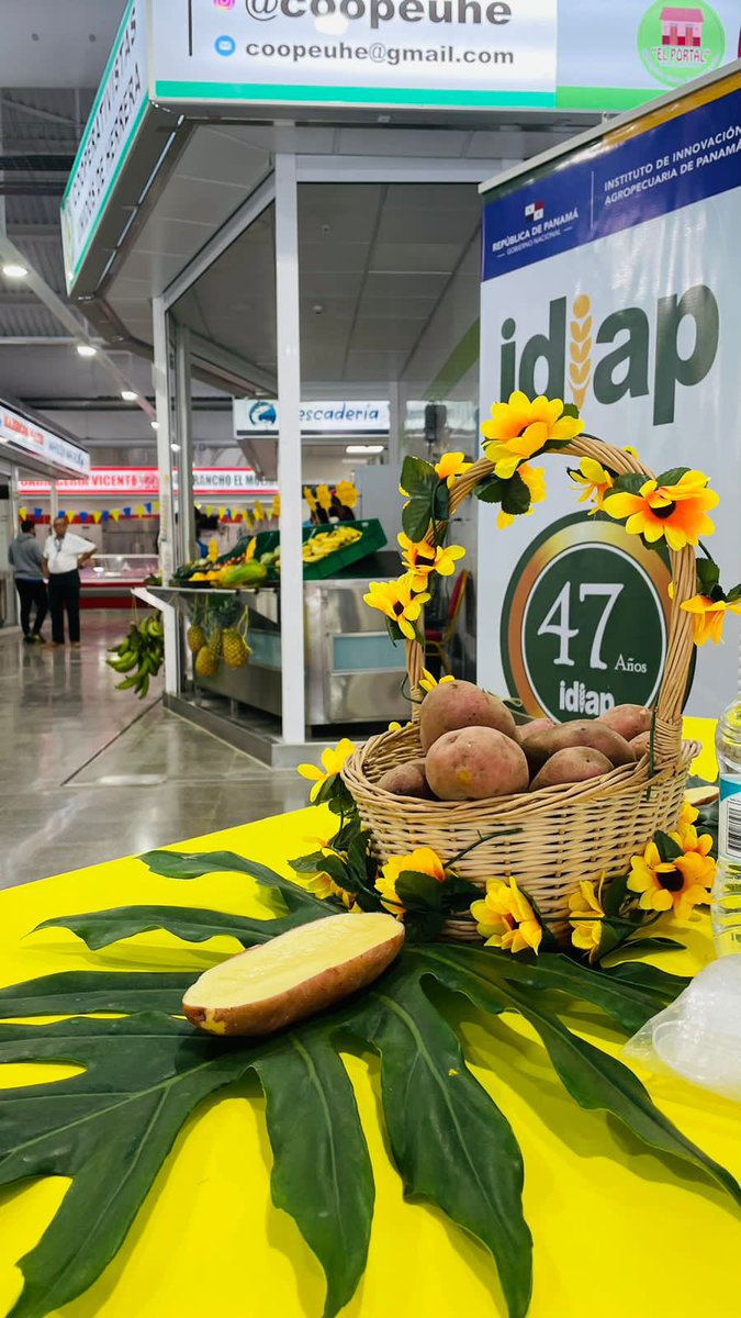 #HOY | Los esperamos en nuestra degustación 🧑🏽‍🍳 de papas 🥔 rojas nacionales generadas con tecnología IDIAP en #MERCAPanamá de #Chitre -  Le invitan 👉🏼 IDIAP - <a href="/cadenadefriopa/">Cadena de Frío, S. A.</a> y la Asociación de la Comunidad Productora de Tierras Altas.

#TrabajandoPorPanamá