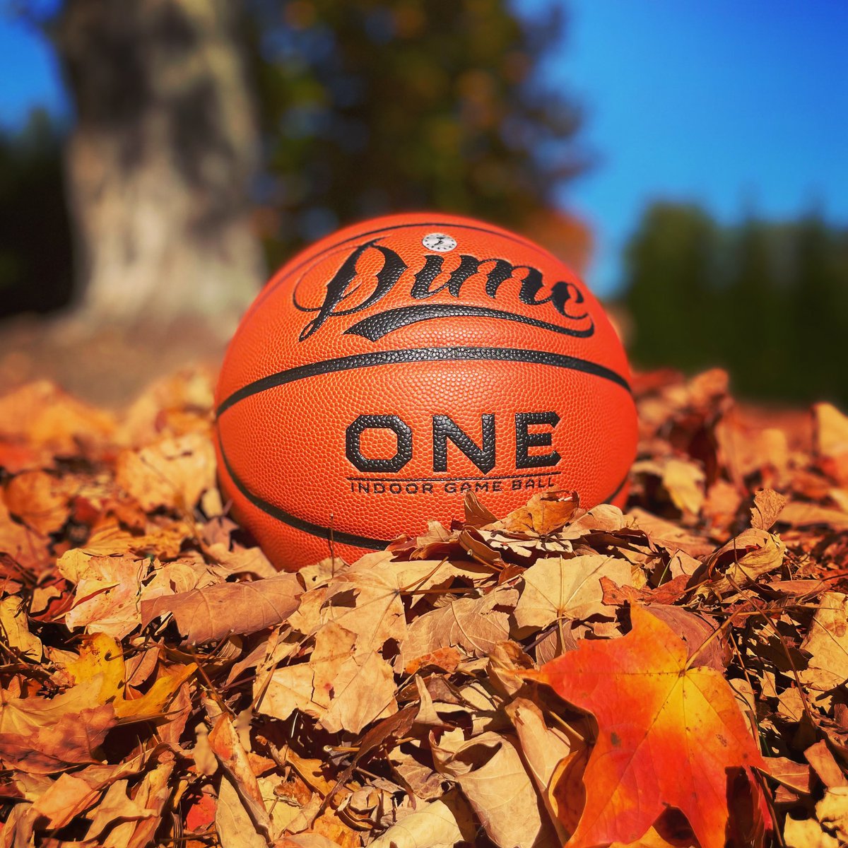 dimesportsco's tweet photo. Fall Ball 🍁 😎 https://t.co/F5KD1aYtNp
