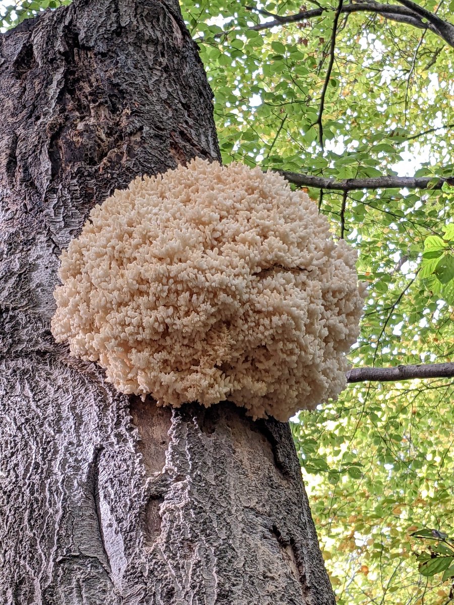 Ben Davis tweet media