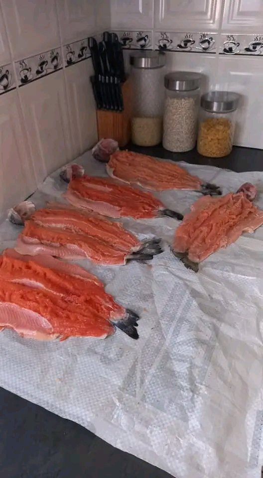 FEMSIS2022
Bocheletsane Stadium
29 OCT
Trout Fest
Mr.Trout as Guest Chef for Trout

@Thabby_Mabote <a href="/AtangRamoloko/">Atang Ramoloko</a>  <a href="/Moletsane187/">♤A~Tired~Kid♤</a>  <a href="/econetlesotho/">Econet Telecom Lesotho</a>  <a href="/el_part_el/">Cityzen El</a>