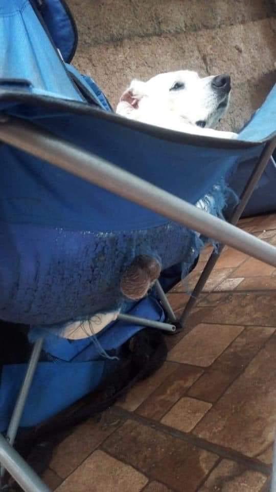 A La Mierda Todo on Twitter: 