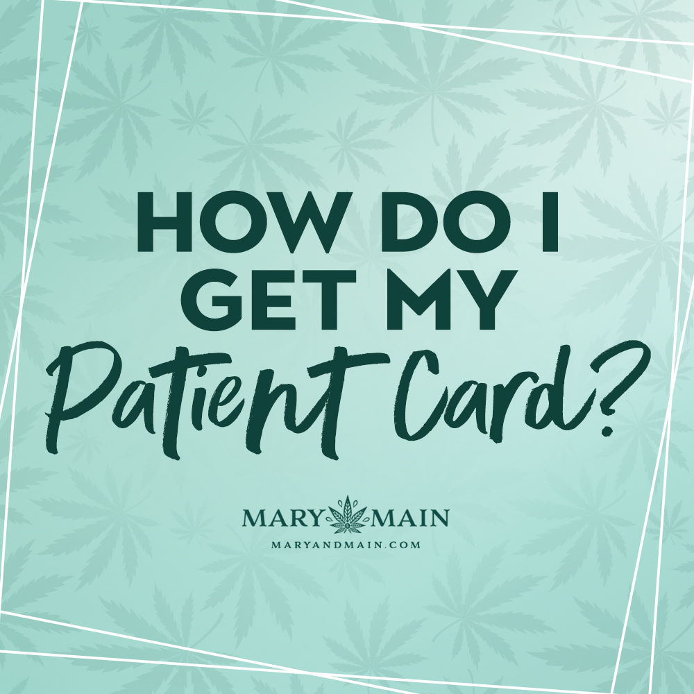 Getting your MMJ card is easier than you think! See if you qualify &amp; register as a patient at: onestop.md.gov

Here's the process broken down: youtu.be/iA0ANQfy5G8

#maryandmain #health #maryland #mddispensary  #naturalmedicine #blackowned #plantmedicine #chronicpain