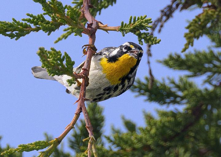 CA State Parks tweet media