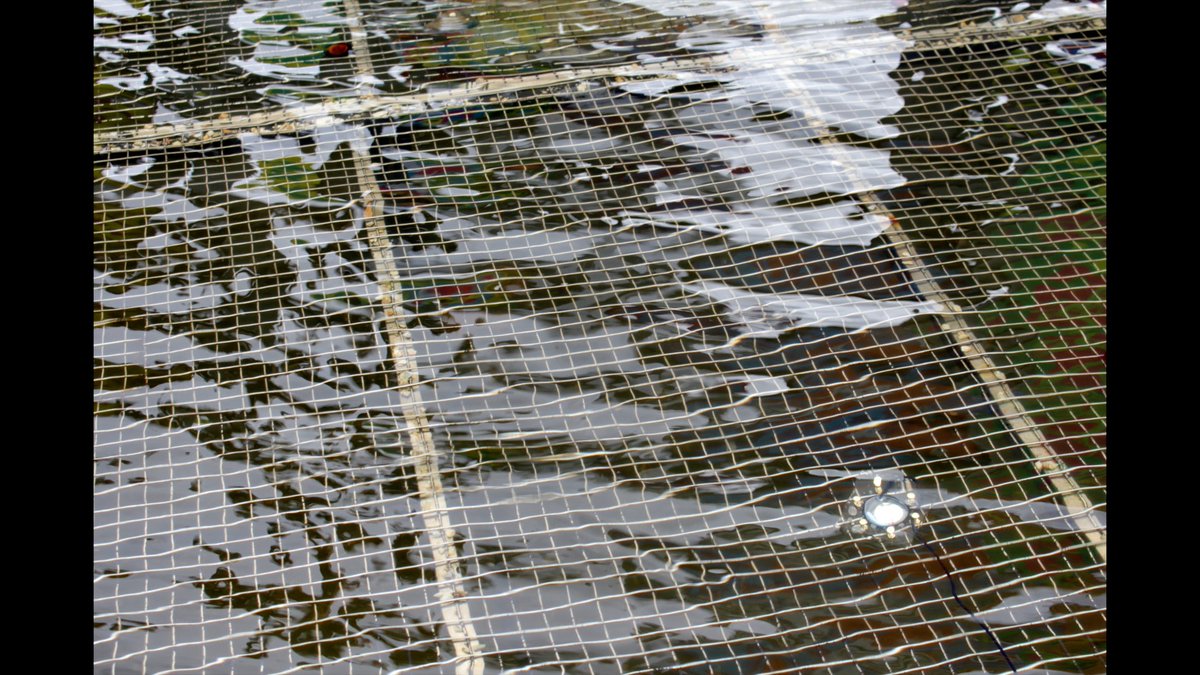 ngbrown's tweet image. Friends in Dublin, tomorrow I perform REPERCUSSION at IMMA Dublin. Sun 23 Oct, 5.45pm, Pavillion 1. Admission free (by ticket). #earthrising imma.ie/whats-on/earth…