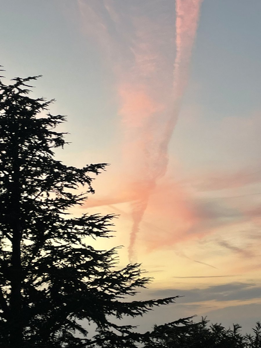 CourtesyDay's tweet image. Never alone