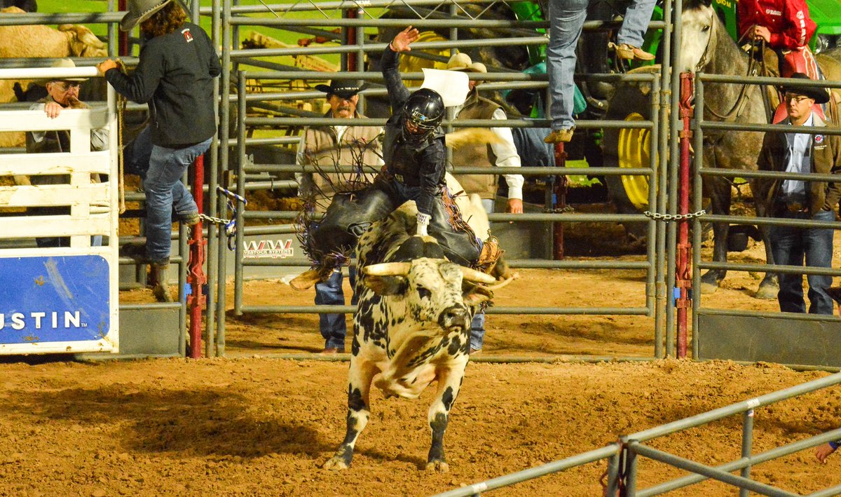 🐂🐂🐂 November 11 - 12 #DellDiamond hosts @rodeoaustin's Bulls in the Ballpark, presented by @LoneStar_LSAC, filled with two nights of Xtreme Bull Riding, Mutton Bustin' and fireworks. 🎟️: atmilb.com/3iHyDqT