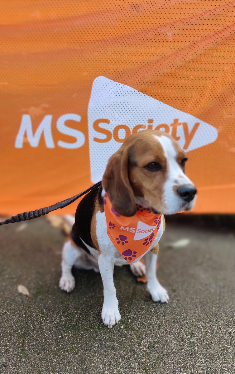 sfcrane's tweet photo. Our #MSHero #Felix walked 5K today for #MSResearch @mssocietyuk Part of the @MSSociety_WCL team #NoMSingAround https://t.co/I2xOQGTMLK