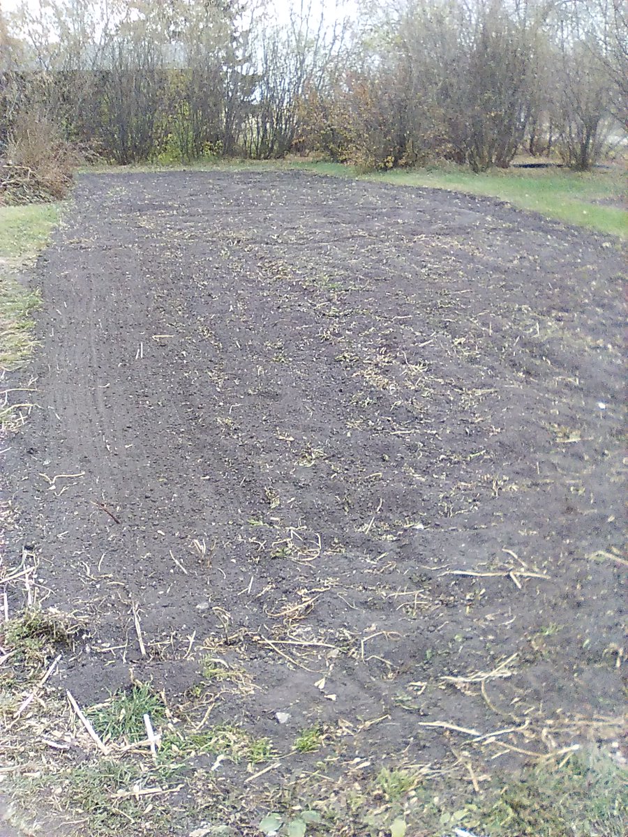 Wally Satzewich tweet media