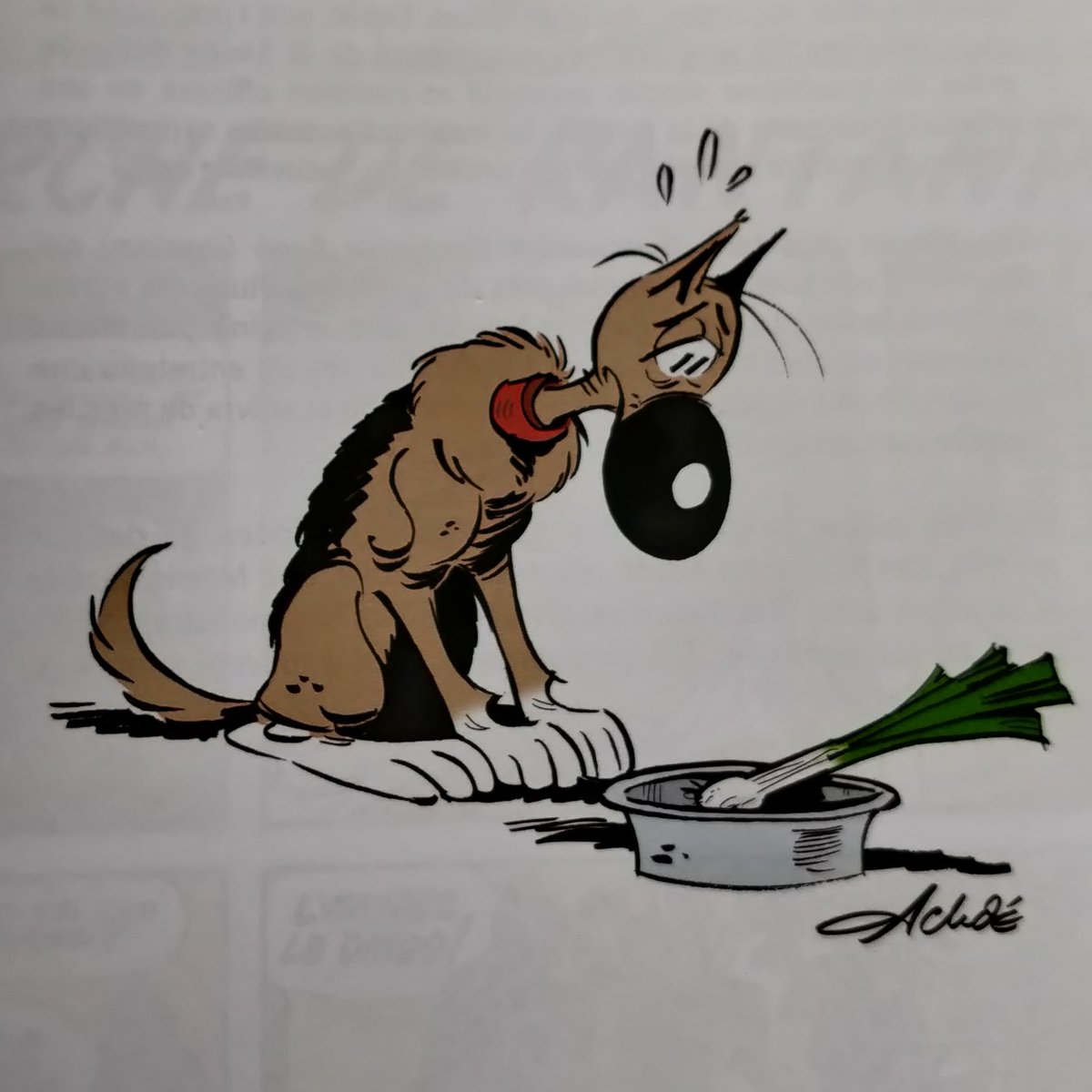 J'ouvre le nouveau Lucky Luke en rayon et découvre dès la 1ere image ce message à peine caché sur la mal-bouffe à laquelle je n'ai jamais su vraiment dire non...
See you next time, poor lonsome cowboy. I'll be back