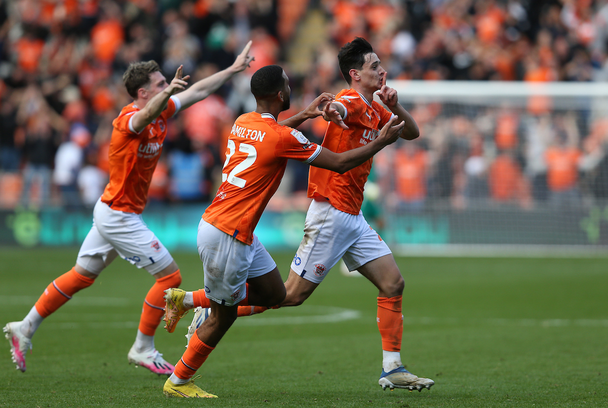 matt_scrafton's tweet photo. 🤫🍊 https://t.co/JO6A6UtNbb