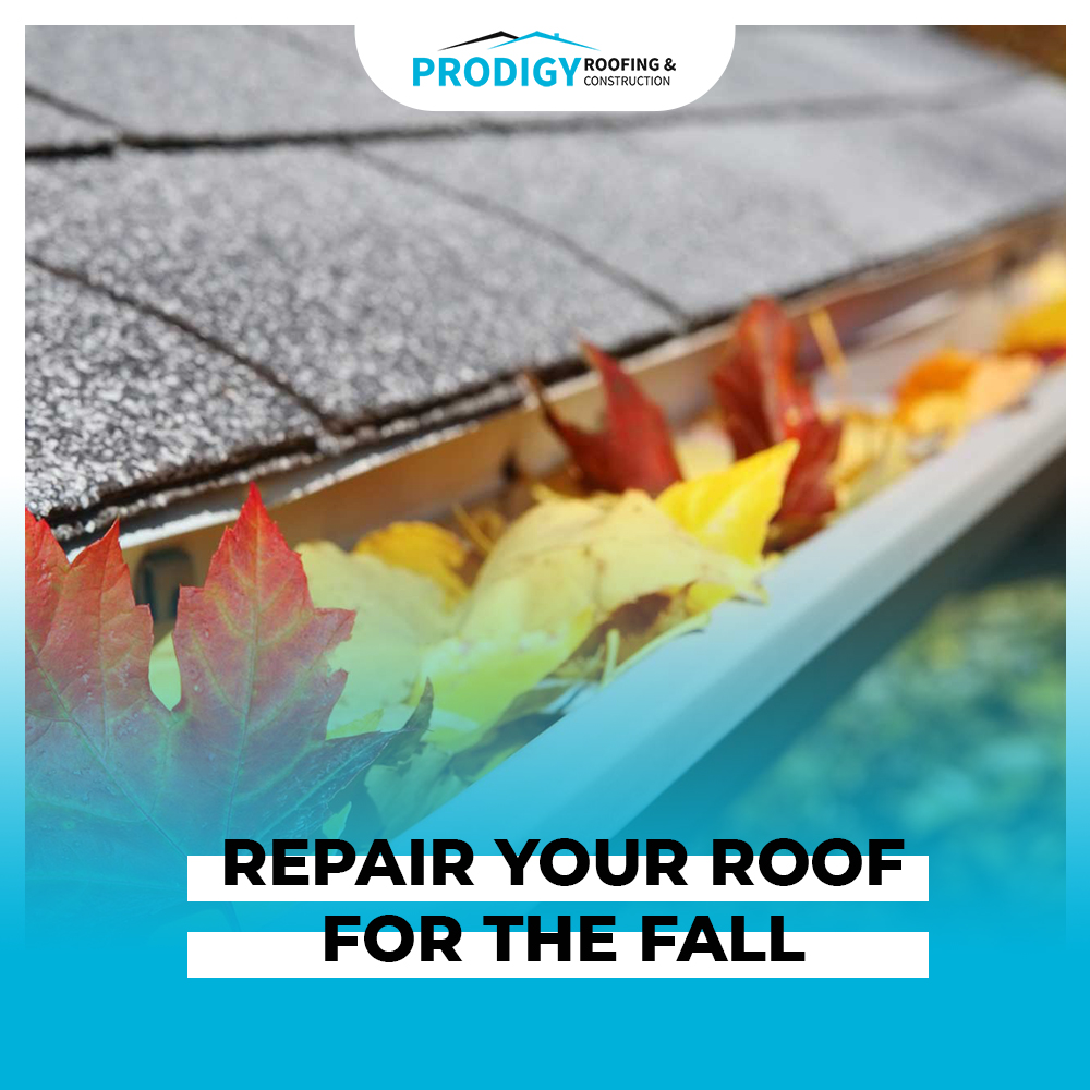 ProdigyRoofing's tweet photo. Fall is here, and soon we will be in the thick of winter. With a re-roofing plan, you can save on heating, but still enjoy comfy winters. 

Need assistance with re-roofing? 
Call us today  (832) 225-3650

#roofing #roofingcontractor #roofingcompany #prodigyroofingservice #houston https://t.co/X1f1dYO1mS